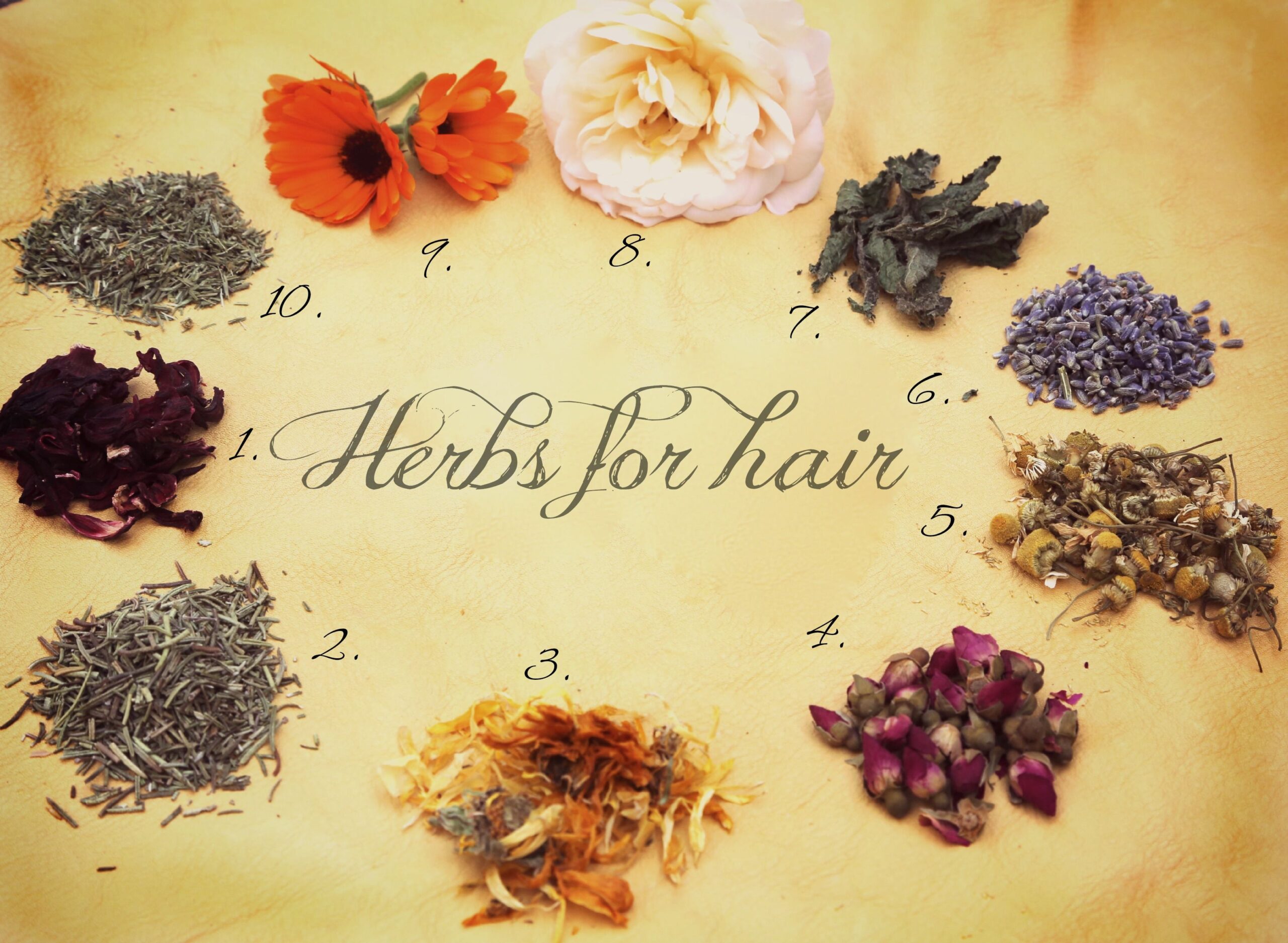 10 Herbs for Hair and Beauty.