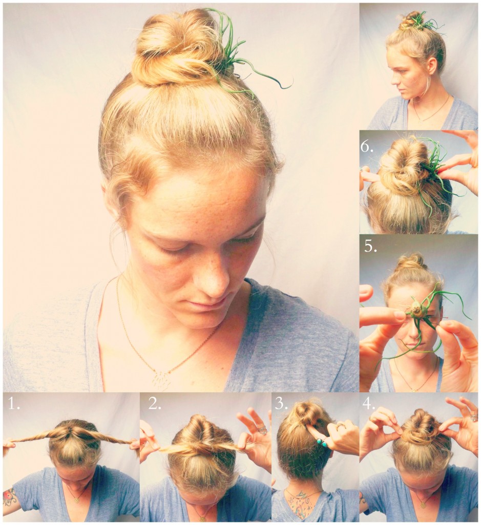 hairplants