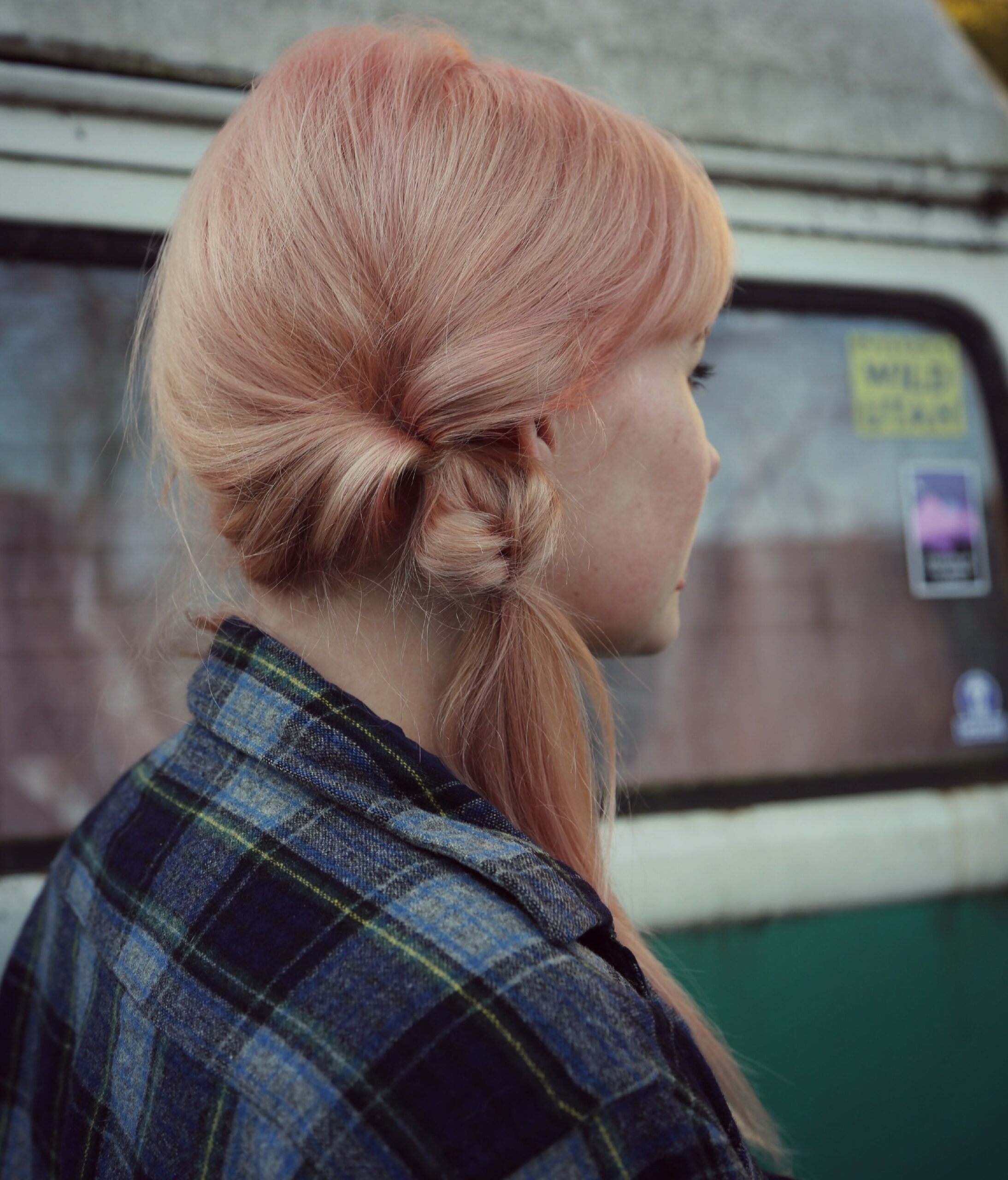 Princess Charming Valentine’s Ponytail.
