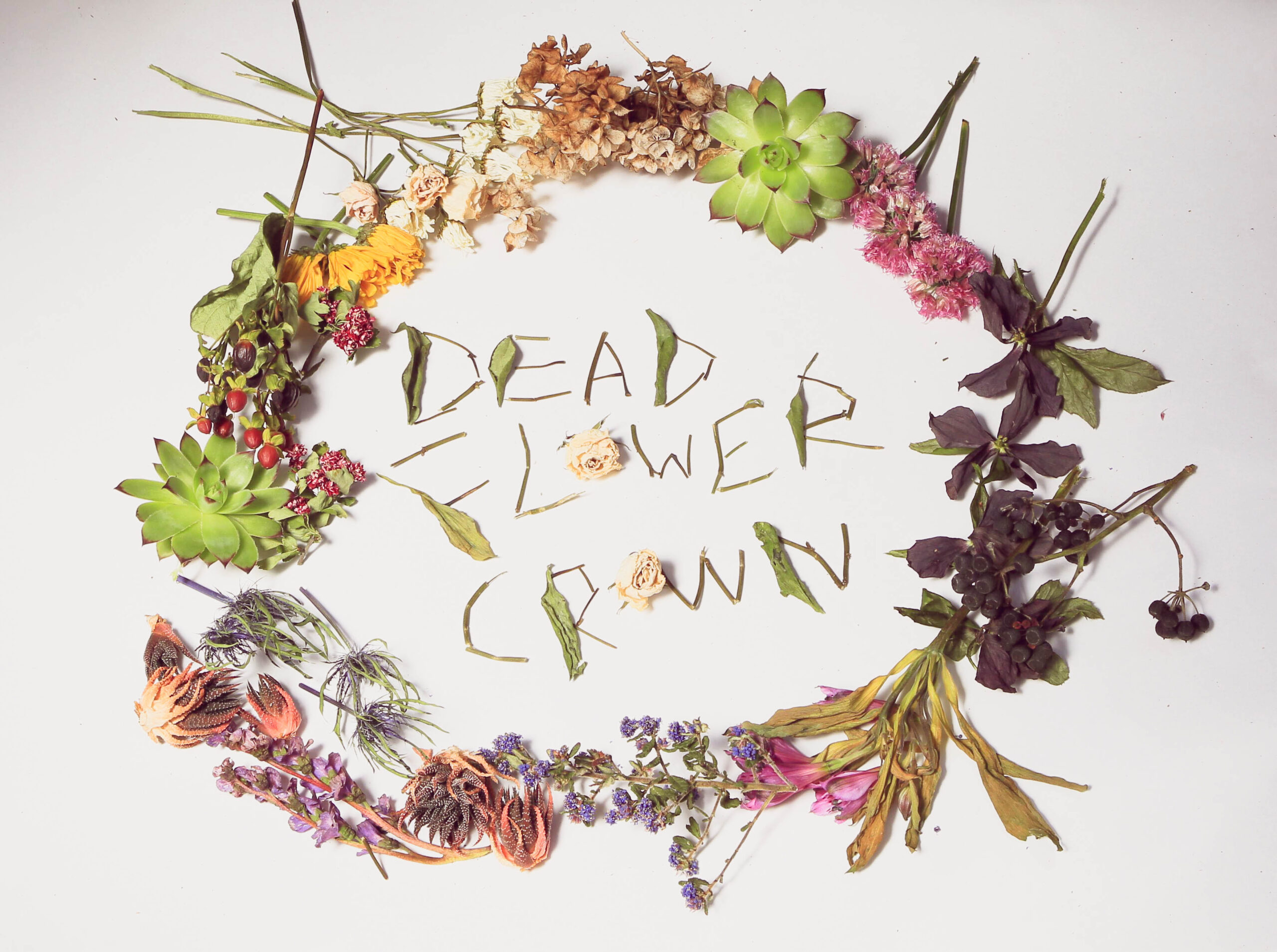 DIY Dead Flower Crown and giveaway!