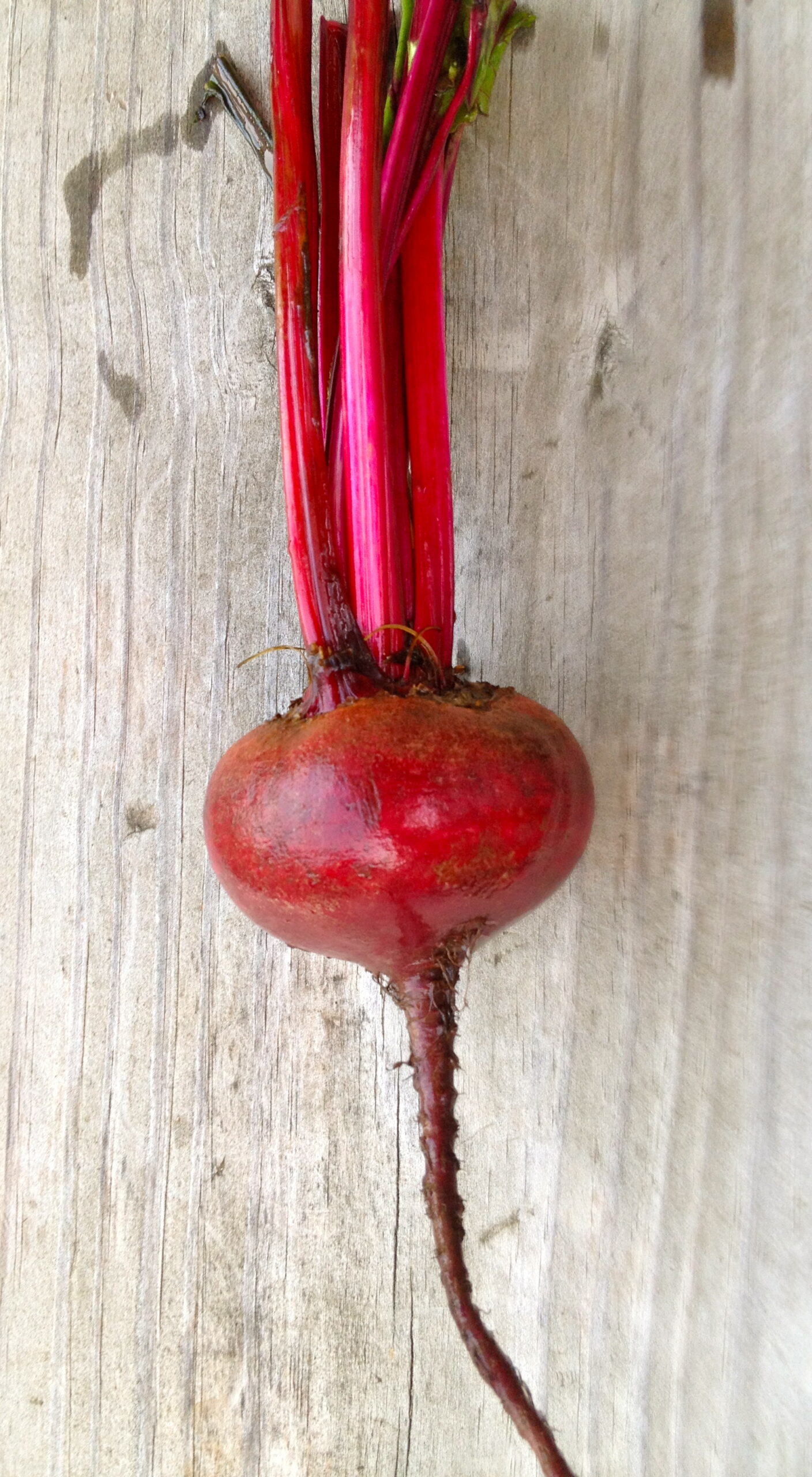 Just beet it!